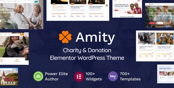 Amity  Charity &amp; Donation Elementor WordPress Theme
