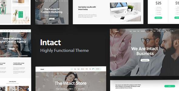 Intact  Multi-Purpose WordPress Theme