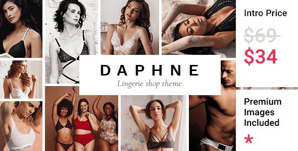 Daphne  Lingerie Shop Theme