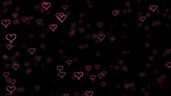 Wedding Black Background  25219296