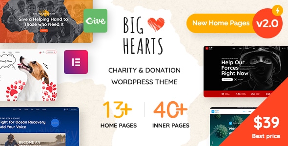 BigHearts  Charity &amp; Donation WordPress Theme