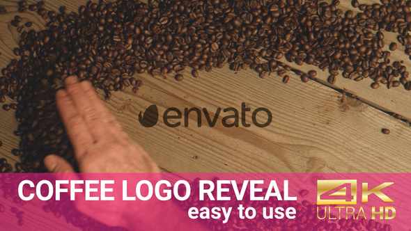 Coffee Logo Reveal  46570752