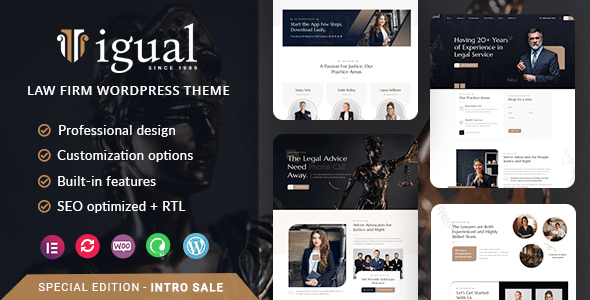 Igual  Law Firm WordPress Theme