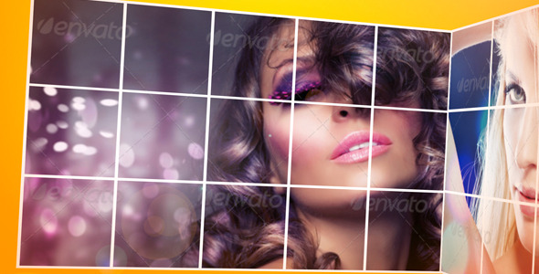 Photographer Portfolio  3632195