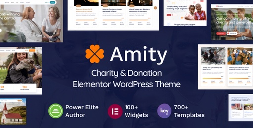 Amity  Charity &amp; Donation Elementor WordPress Theme