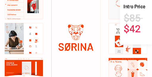 Srina  Creative Portfolio Theme