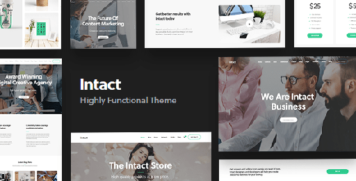 Intact  Multi-Purpose WordPress Theme