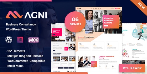 Agni  Business Consulting