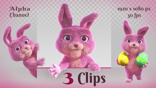 Bunny Cartoon Character Promo  25903356