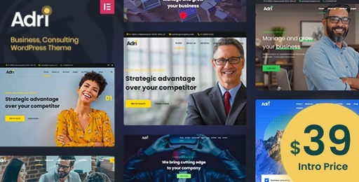 Adri  Business and Consulting WordPress Theme