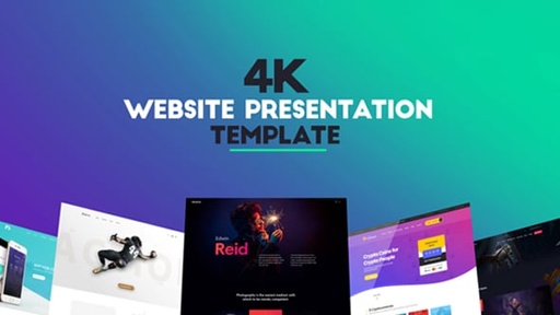 Website Presentation  21411562