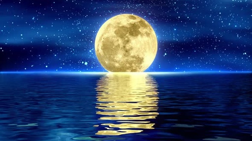 Yellow Moon  27967866
