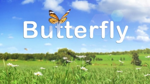Butterfly Logo Reveal  10228664