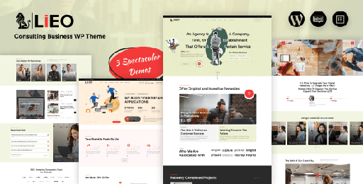 LIEO  Business Consulting Theme